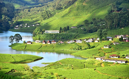 Hotels in Munnar, Kerala